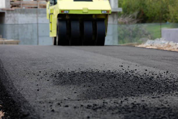 Best Decorative Driveway Pavers  in Holt, AL