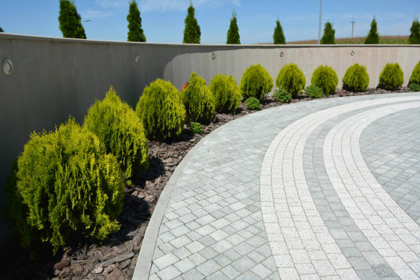 Best Concrete Paver Driveway  in Holt, AL