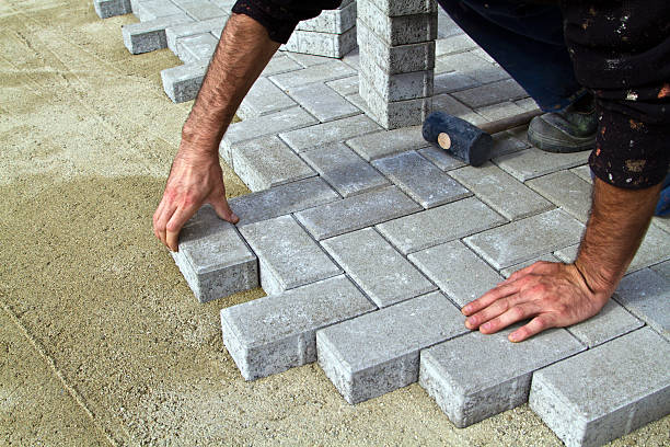 Best Affordable Driveway Paving  in Holt, AL